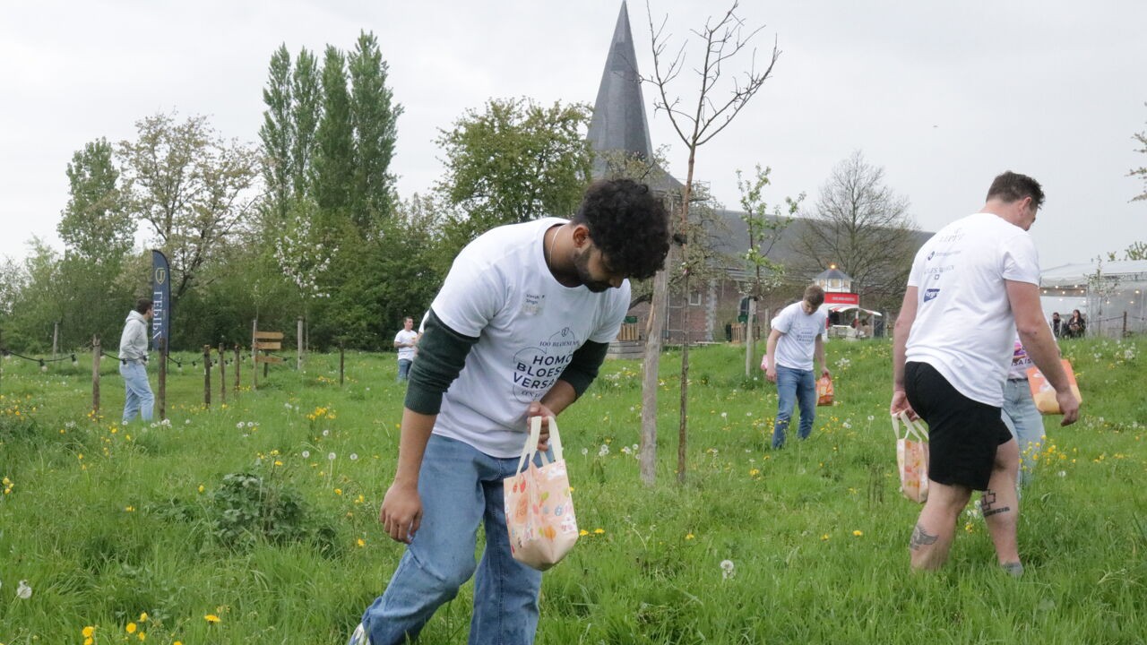 Primeur in Haspengouw: zoektocht naar eerste ‘Homo Bloesemversalis’ lokt tientallen deelnemers naar Brustem