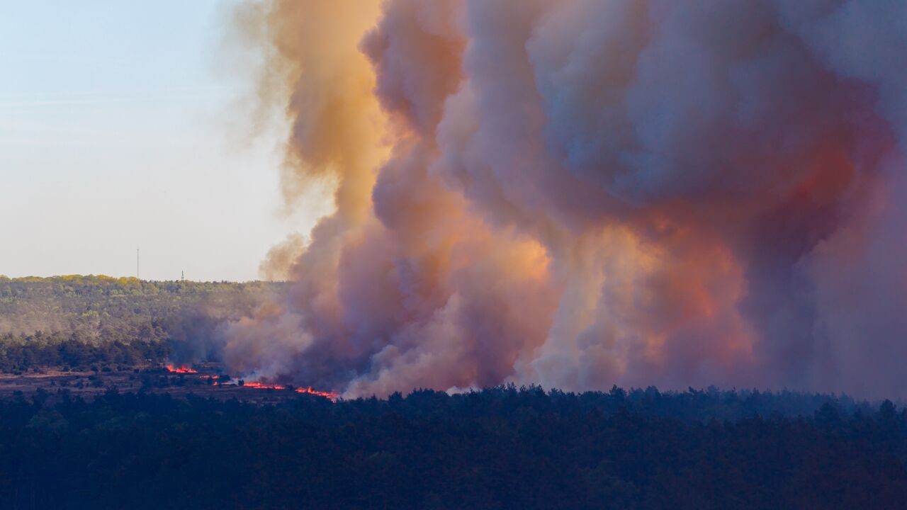 "Uitzonderlijk grote" natuurbrand uitgebroken op militair oefenterrein in Nederland: "Rook tot ver te zien en te ruiken"