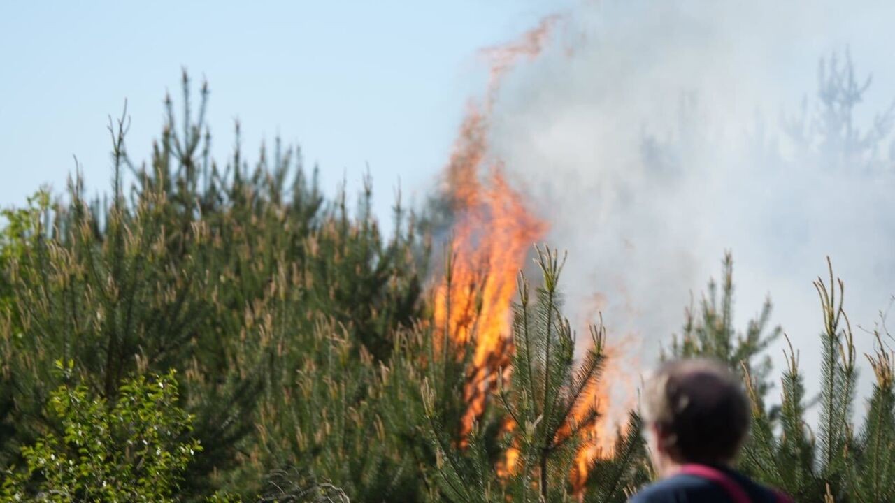 Grote brand op militair domein op grens tussen Leopoldsburg en Beringen onder controle