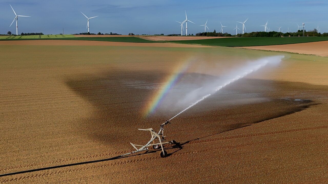 Grondwater ongewoon laag na kurkdroge april: ontdek hoe droog het is in jouw streek