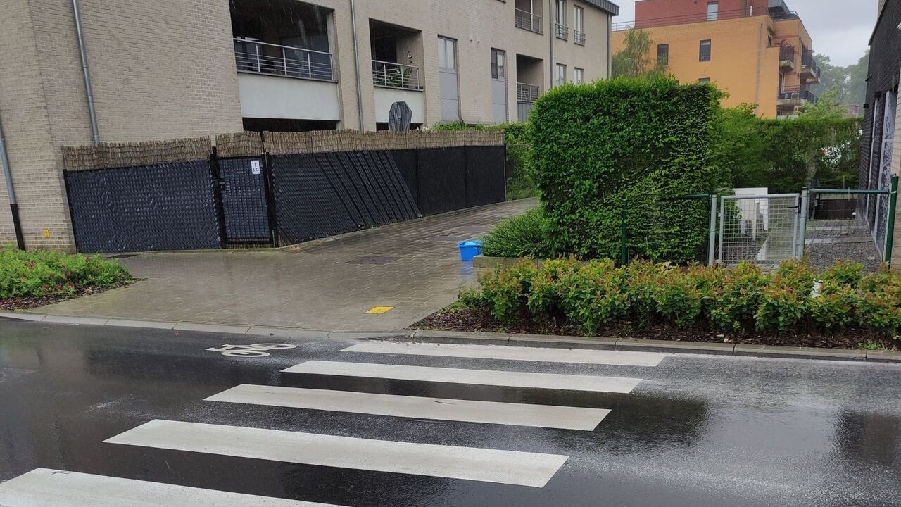 Zebrapad in Zaventem leidt voetgangers recht in een haag