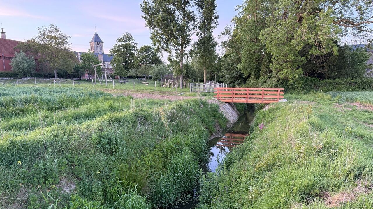 "Enorme hoeveelheid" verboden pesticide gevonden in beek in Reningelst, maar "geen gevaar voor drinkwater in Westhoek"