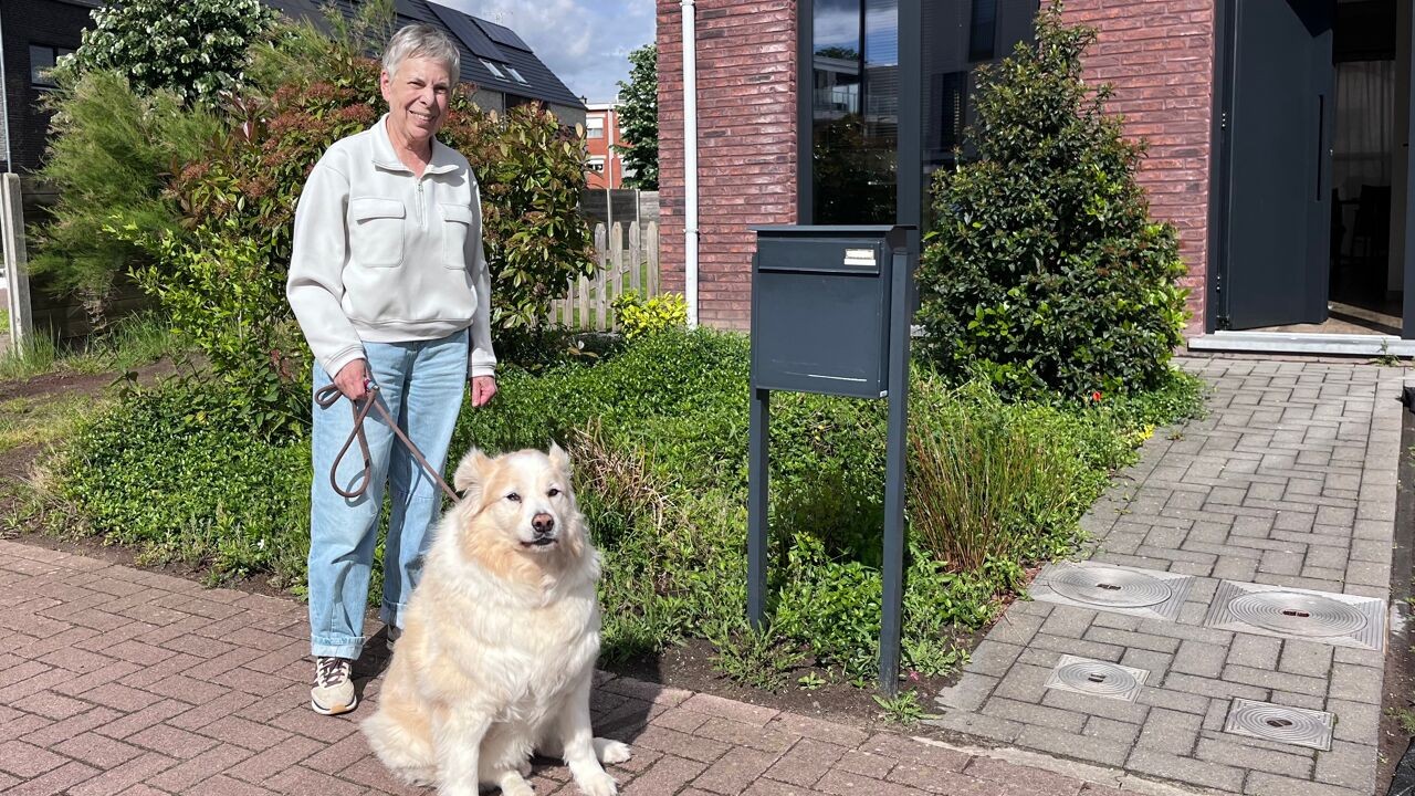 Terug naar straat in Lier waar bewoners 5 jaar geleden voortuintjes moesten ontharden: "Nu houden we elk jaar buurtfeest"