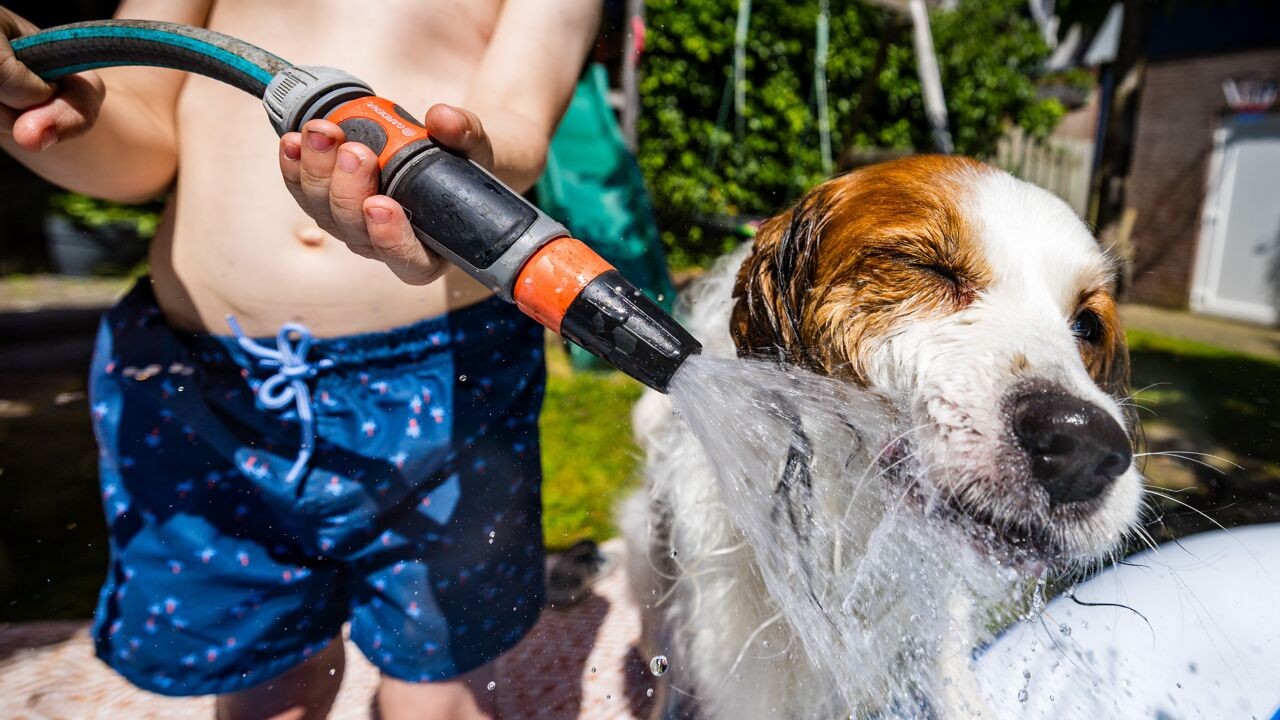 Waarom er ondanks de aanhoudende droogte geen beperkingen zijn in gebruik van drinkwater