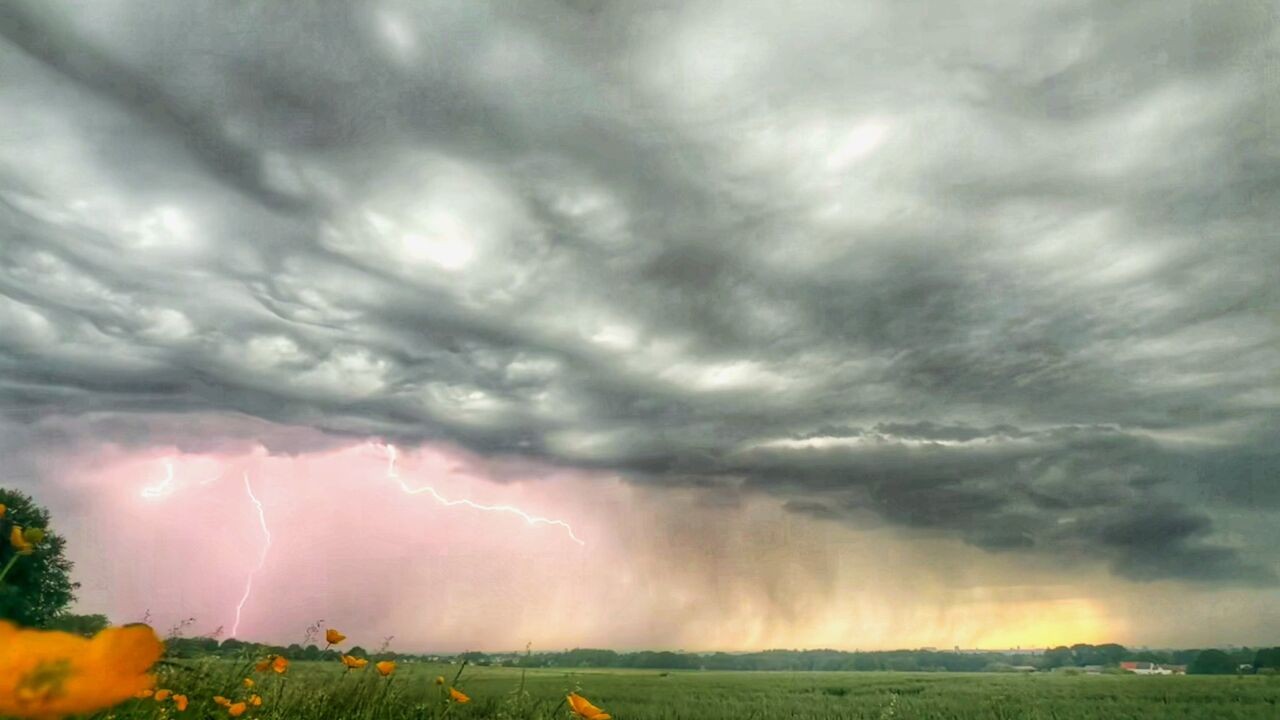 Vanavond en vannacht code oranje voor onweer in Vlaams-Brabant, Brussel, Limburg en Wallonië: "Potentieel hevig en gevaarlijk"