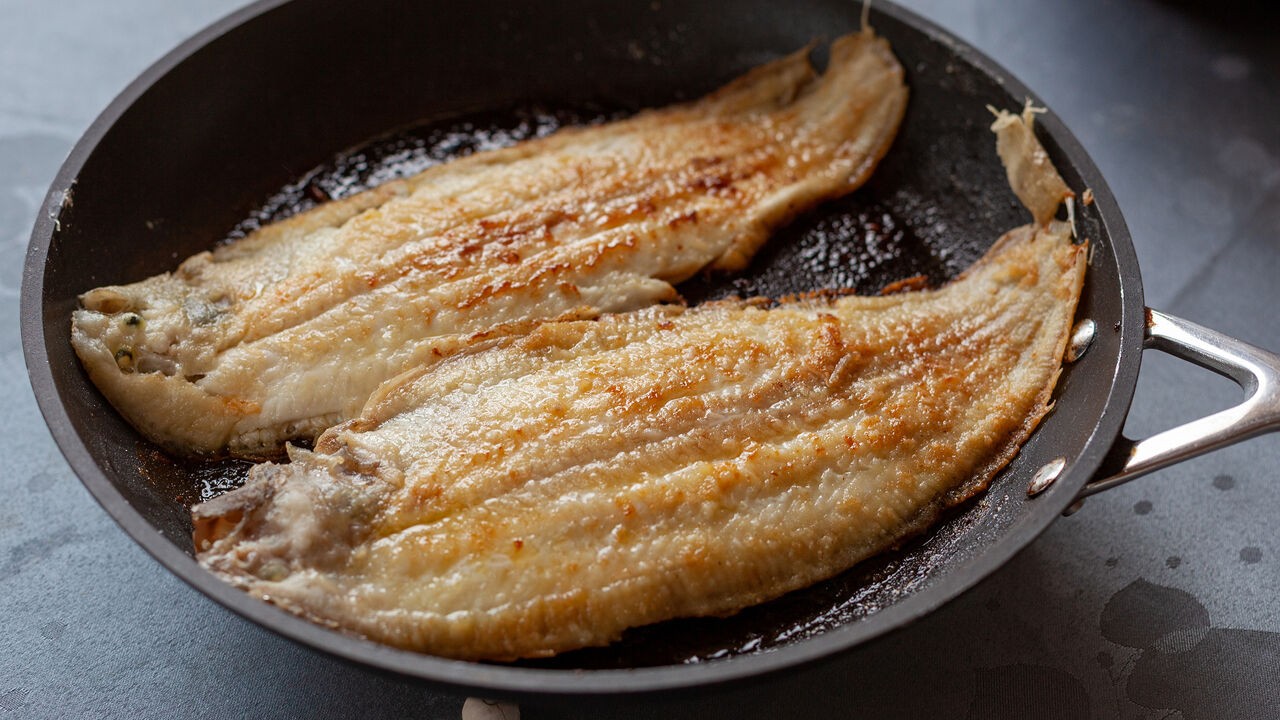 Tong wordt kleiner door de opwarmende oceaan: "Vis past zich razendsnel aan"