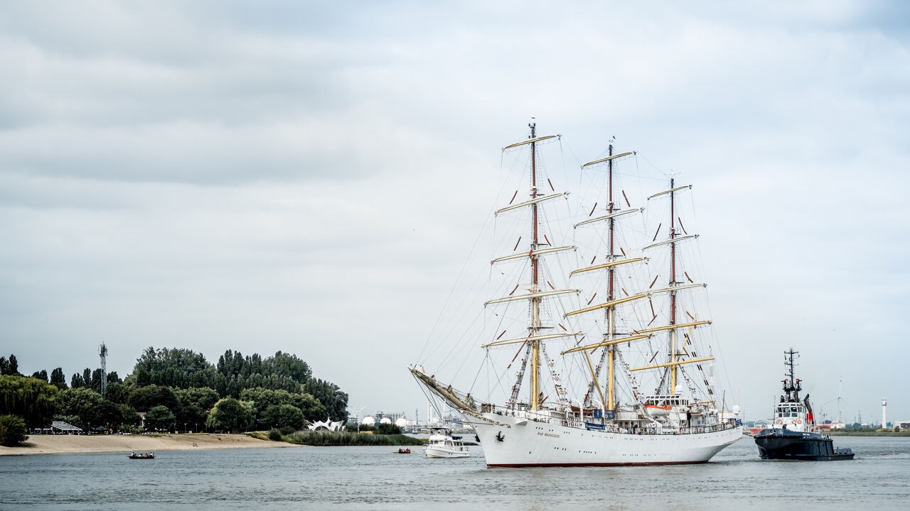 "Het is hier alle hens aan dek": waarom Antwerpen zo belangrijk is voor Tall Ships Races (en andersom)