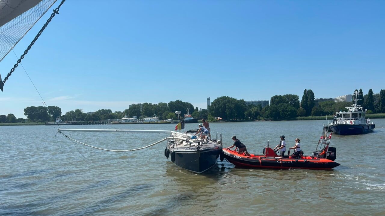 Mast van zeilboot breekt af na botsing met Thalassa tijdens Tall Ships Races in Antwerpen