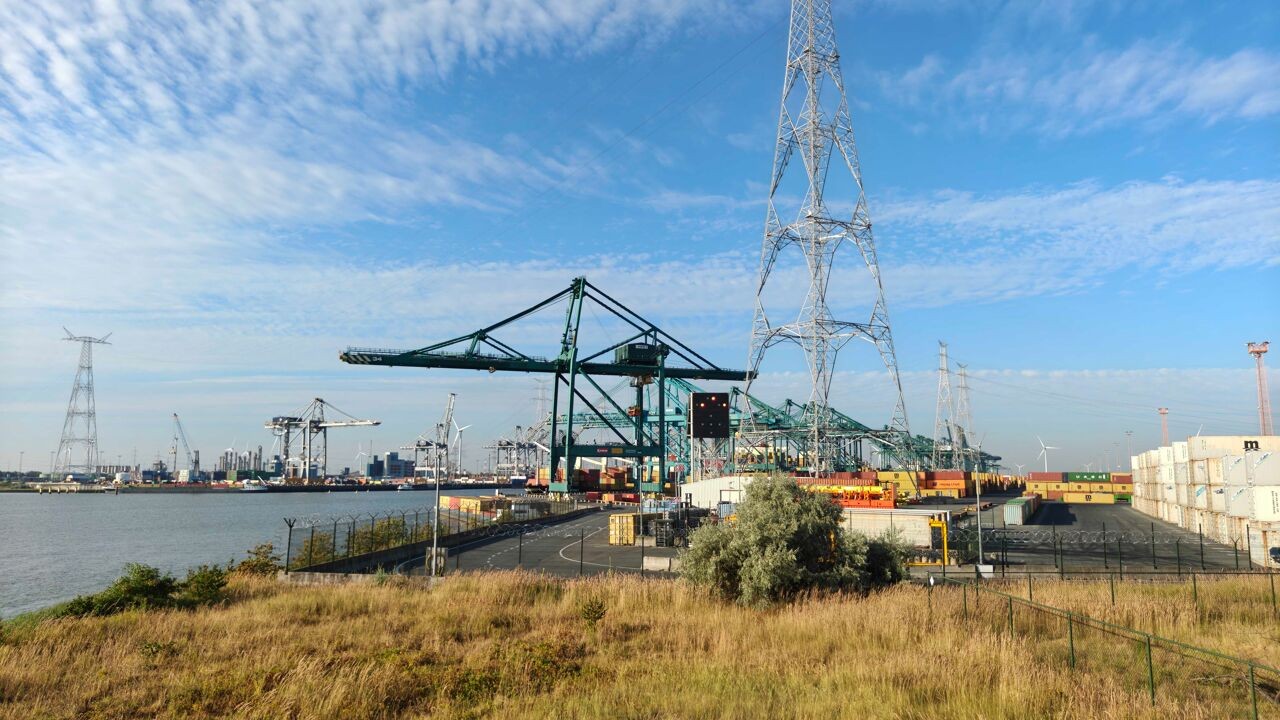Giftig lek op vrachtschip in Waaslandhaven: 1 persoon op intensieve zorg, 25 arbeiders onwel geworden