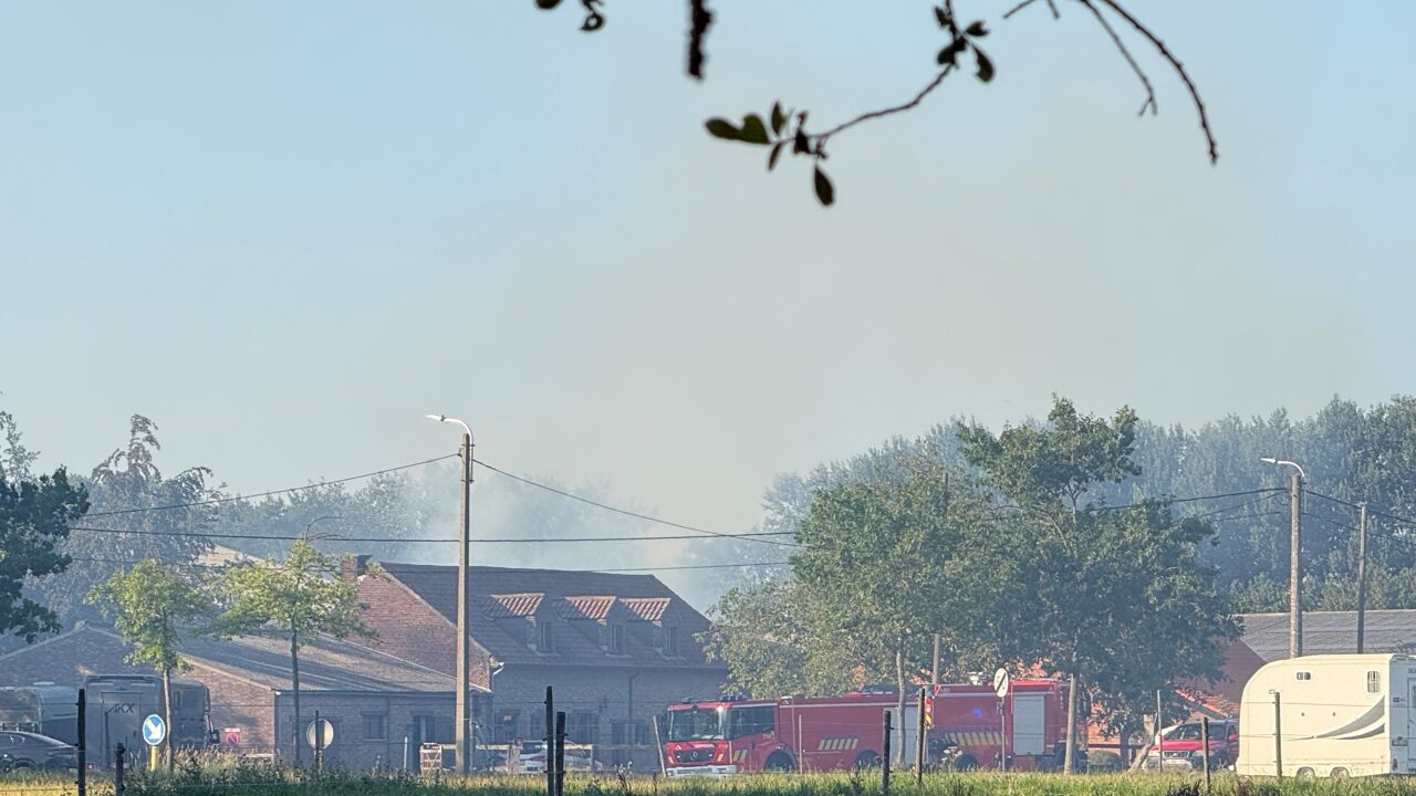 Honderdtal paarden geëvacueerd bij brand in stoeterij 7 Bunders in Eppegem: uitbater gewond