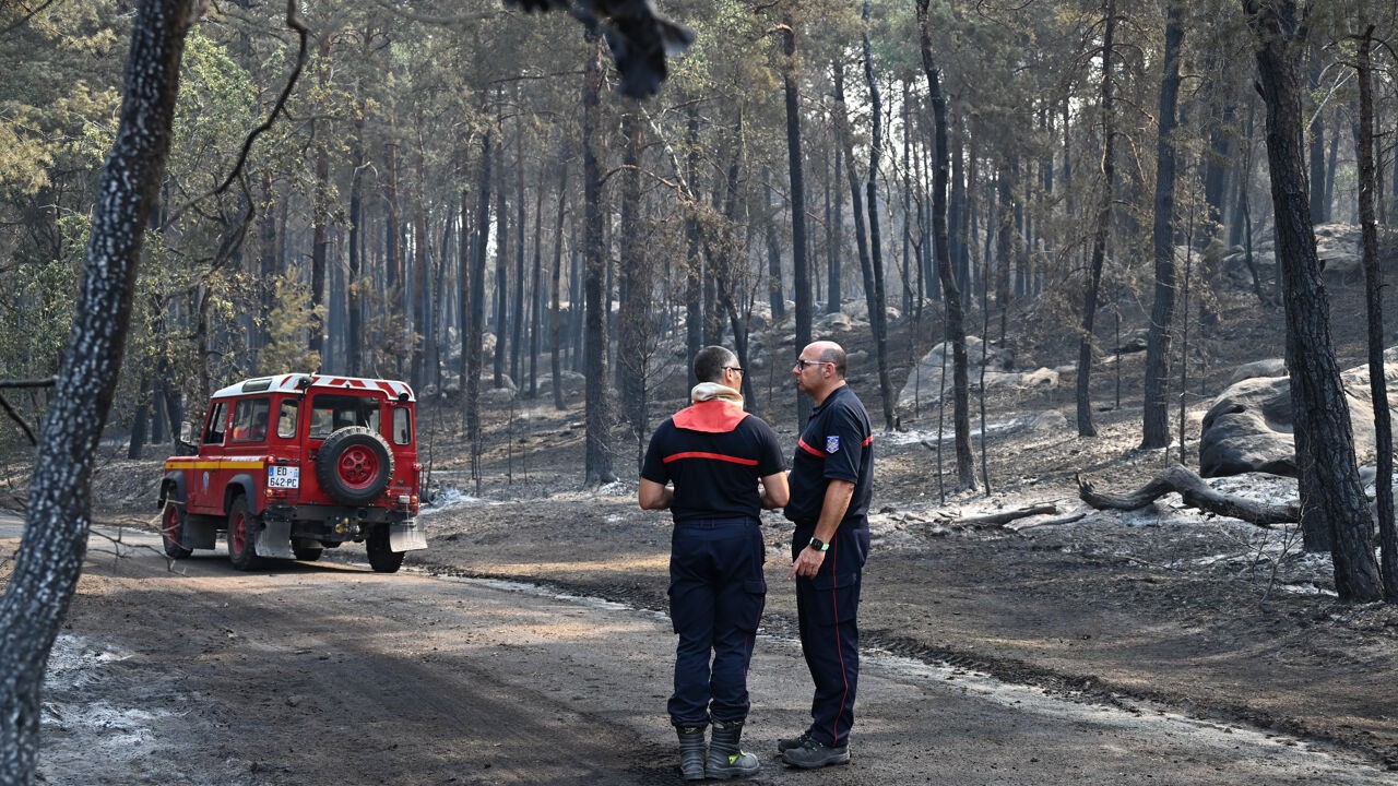 Franse bosbrand in Fontainebleau na ruim anderhalve maand geblust