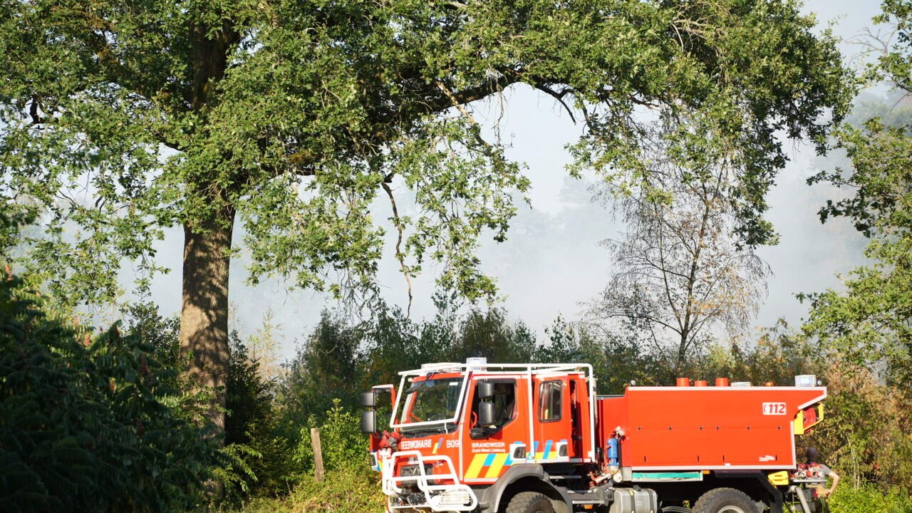 Brandweer zet 11 tankwagens in bij bosbrand in Beringen: 5.000 vierkante meter natuur verwoest, brand onder controle