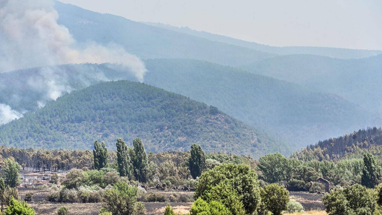 Al meer dan 12.000 hectare verwoest bij natuurbrand in Guadalajara, ten noorden van Madrid