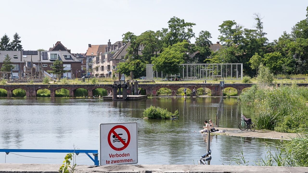 Nu blauwalgen de kop opsteken: hoe gevaarlijk is bacterie waar ons water zo vol van zit?
