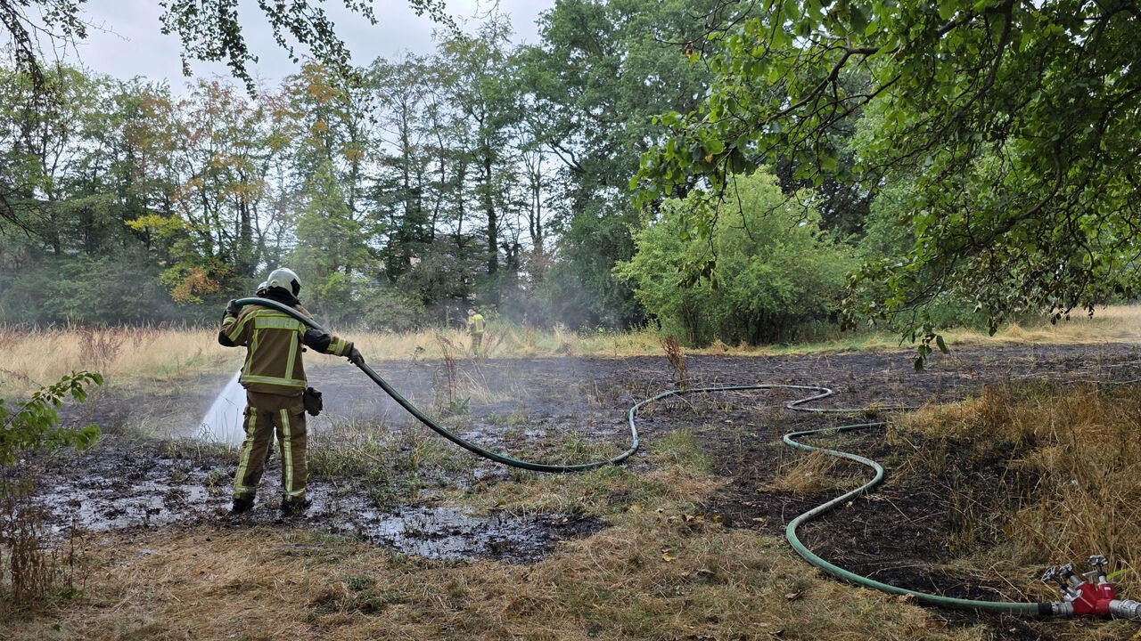 Brandweer waarschuwt opnieuw voor extreem brandgevaar in bos- en natuurgebieden na weidebrand in Vosselaar