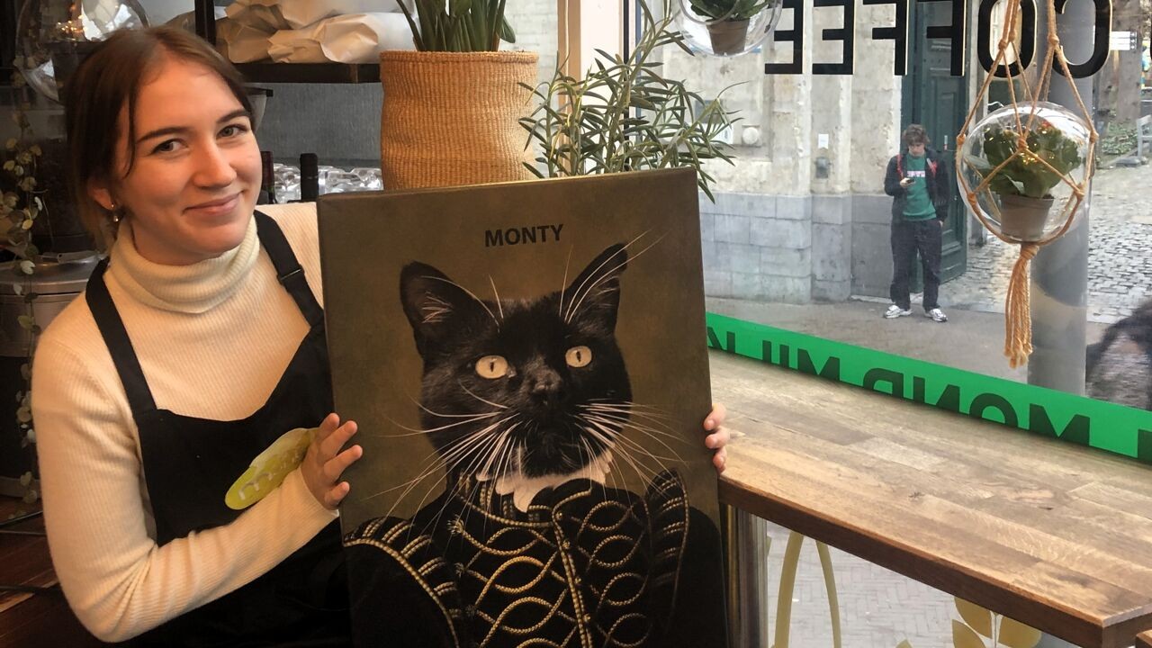 Leuven neemt afscheid van populaire kater Monty: "Mensen kwamen thuis bij hem"