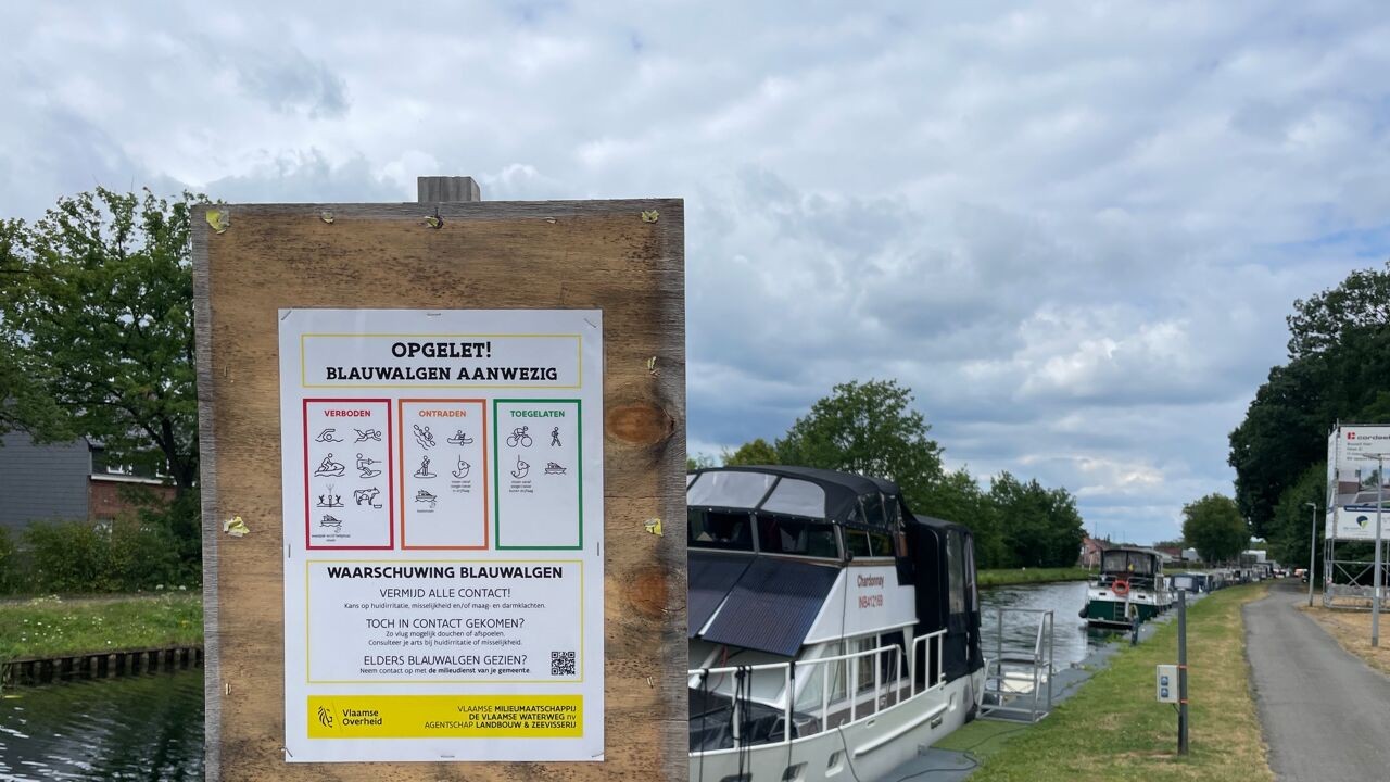 Al 62 tijdelijke zwemverboden in open water opgelegd deze zomer