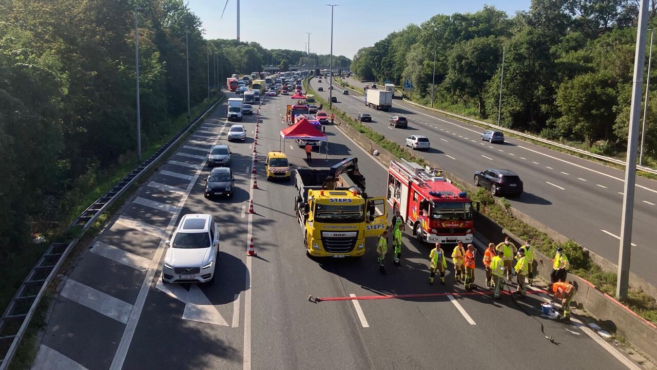 Slachtafval opgeruimd. E40 bij Aalst weer vrijgegeven