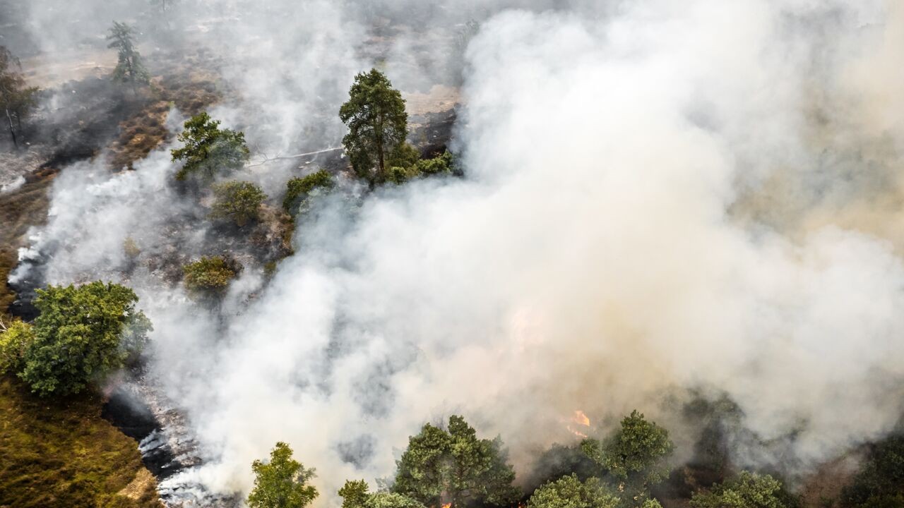 Grote brand in natuurgebied De Rosmolen in Nederlands Limburg: "66 brandweerwagens in de weer"