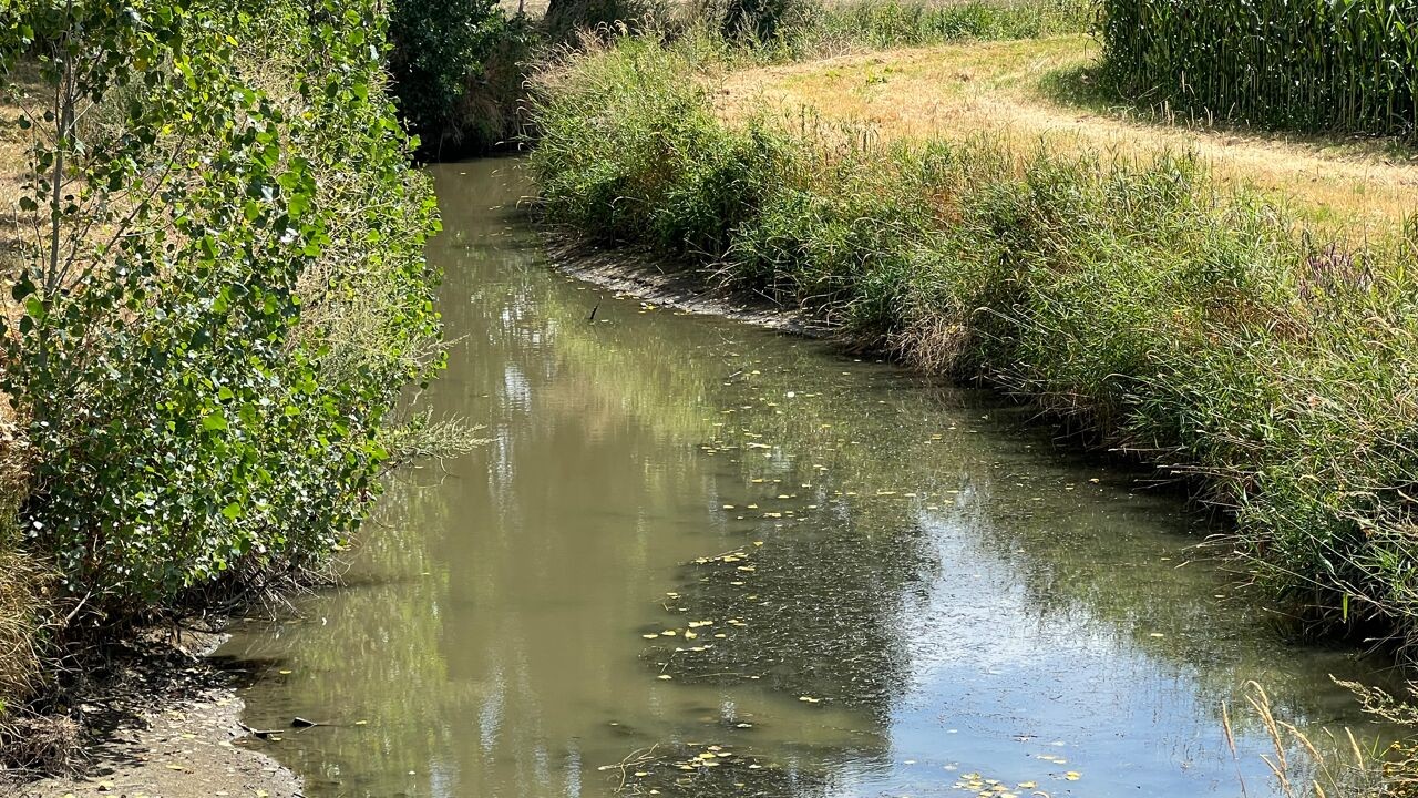 Politie betrapt loonwerker die meer dan half miljoen liter water oppompt in Merkem ondanks verbod
