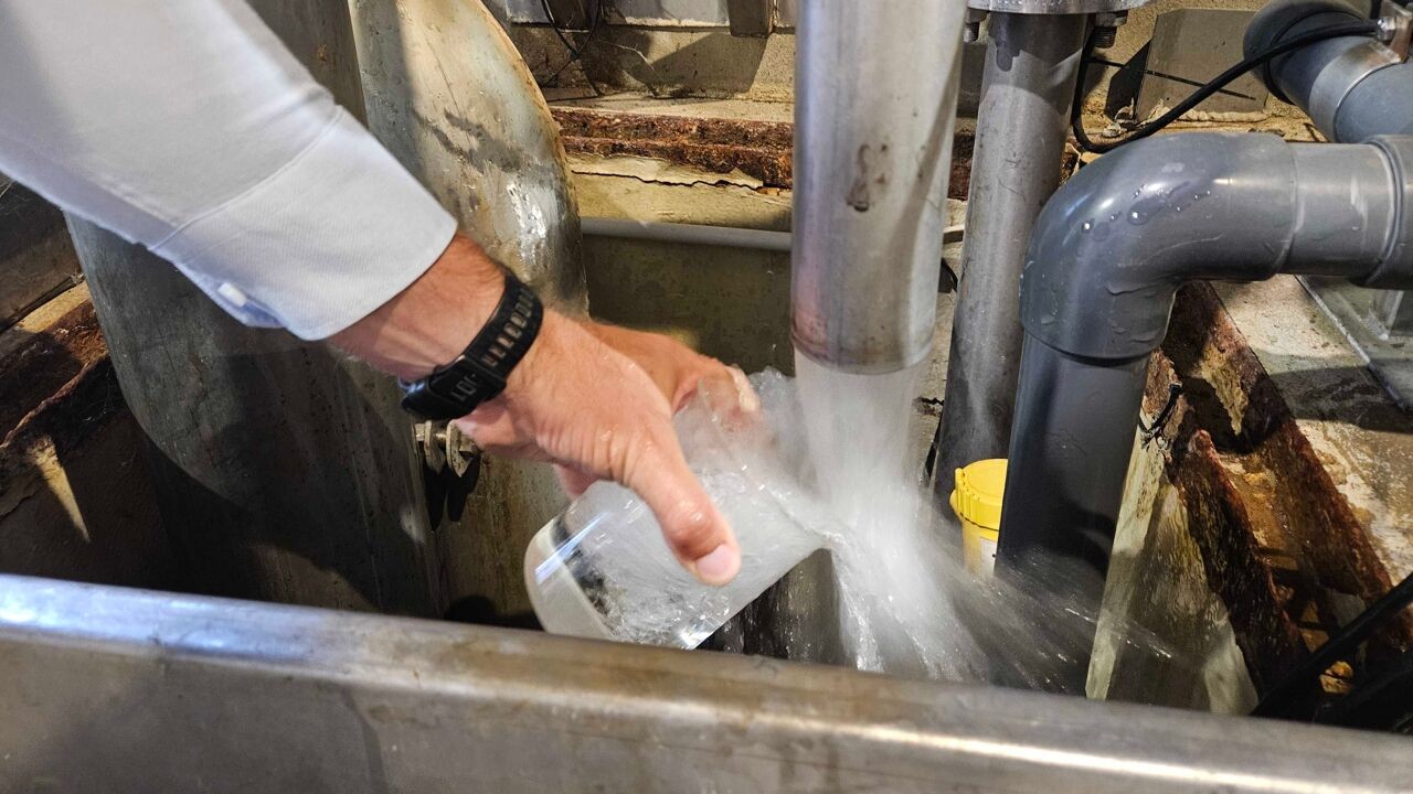 Dit bedrijf uit Boutersem maakt water van... varkensmest: "We kunnen de vraag niet bijhouden"