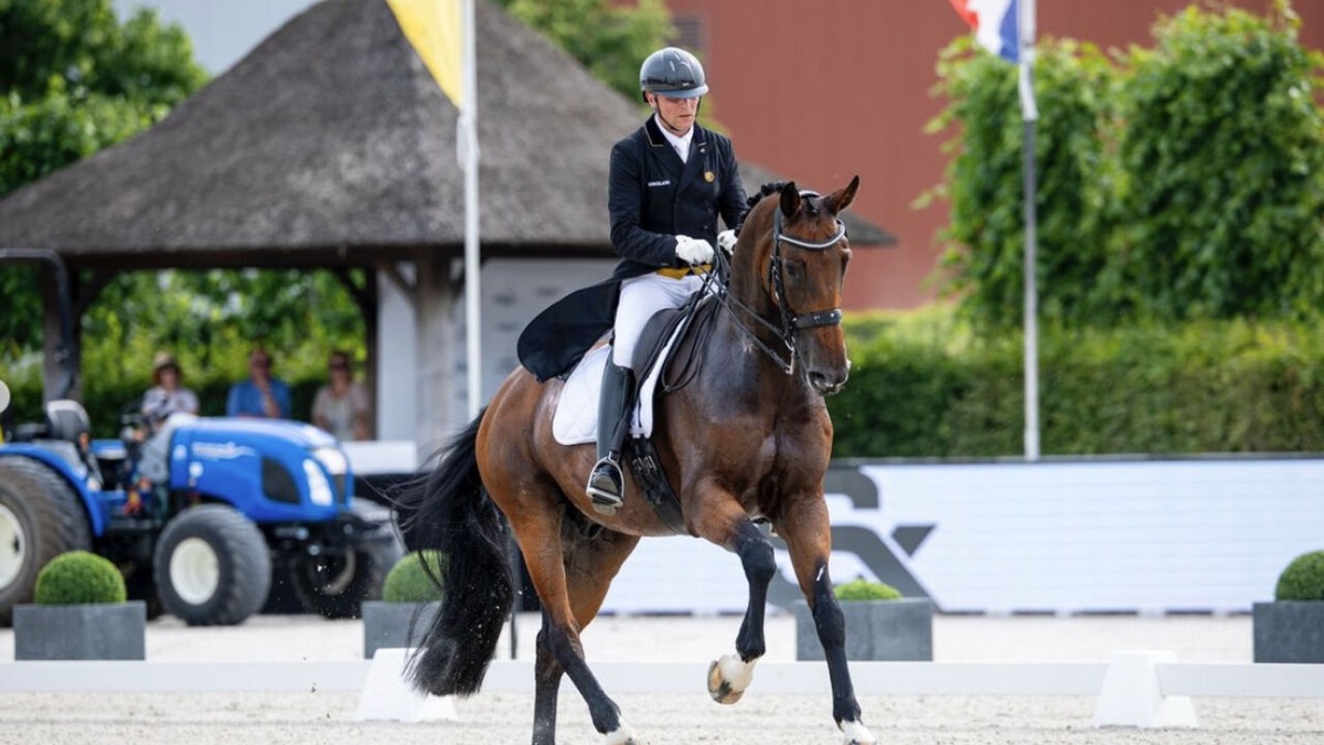 Belgische dressuurploeg pas 10e na dag 1 op WK: "Nu mag er woensdag niets misgaan voor olympisch ticket"
