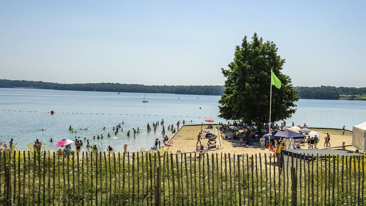 31,3 graden in Ukkel: derde (en wellicht laatste) hittegolf van de zomer is nu een zekerheid