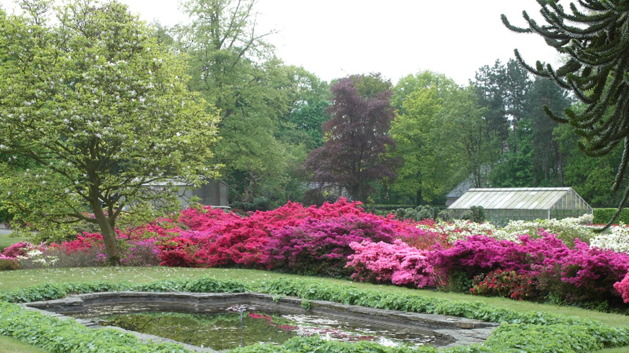 Tuinbouwschool Melle past lessenpakket aan door droogte: "Hortensia's en rhododendrons gaan er meer en meer uit"