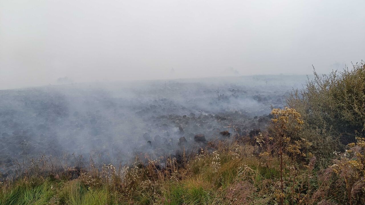 Brand in de Hoge Venen legt zeldzame natuur in de as: "Herstel kan decennia en misschien zelfs eeuwen duren"