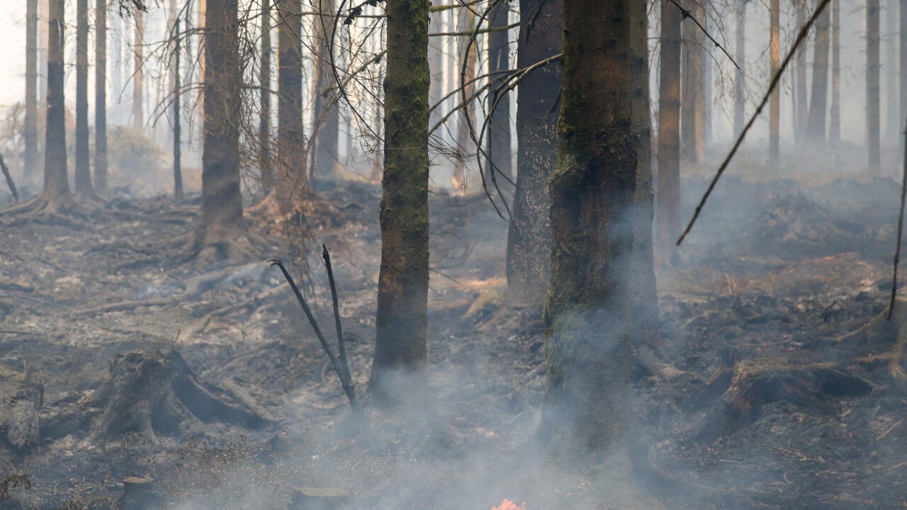 Delen van Monschau met spoed geëvacueerd door naderend vuur, parket start onderzoek naar oorzaak van brand