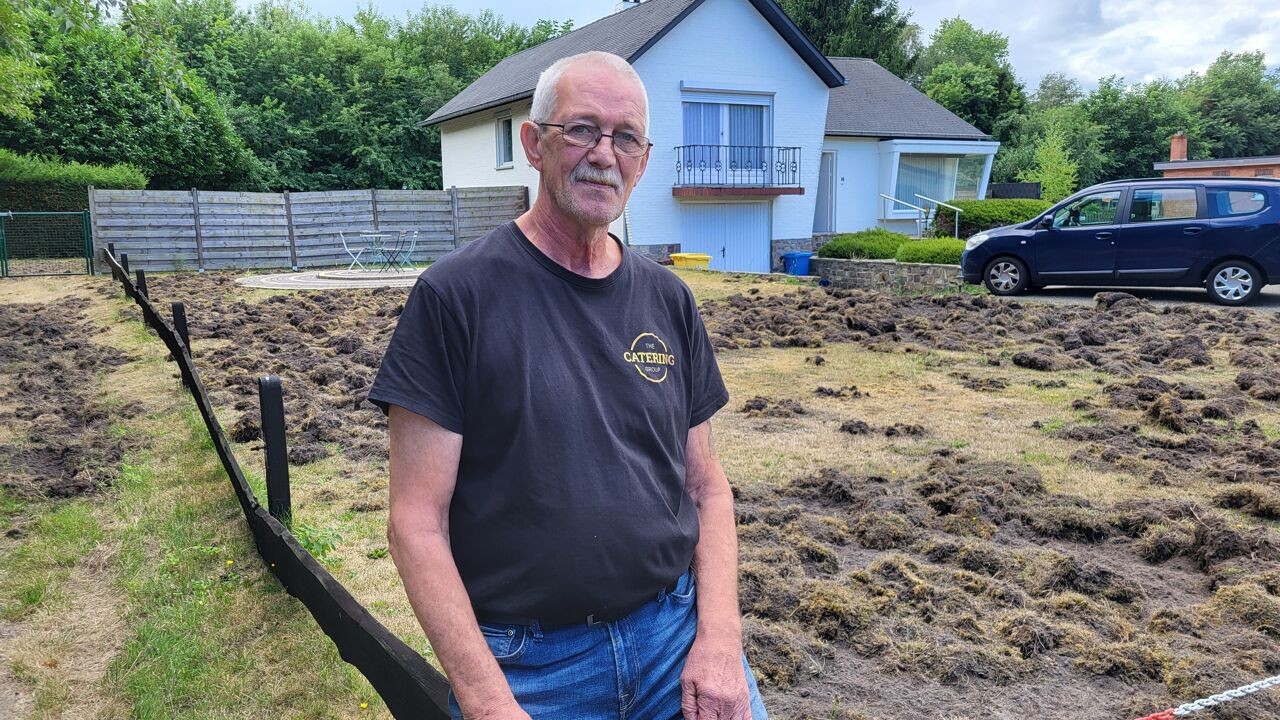 Everzwijnen verwoesten tuin van Rudi: "In een maanlandschap veranderd"