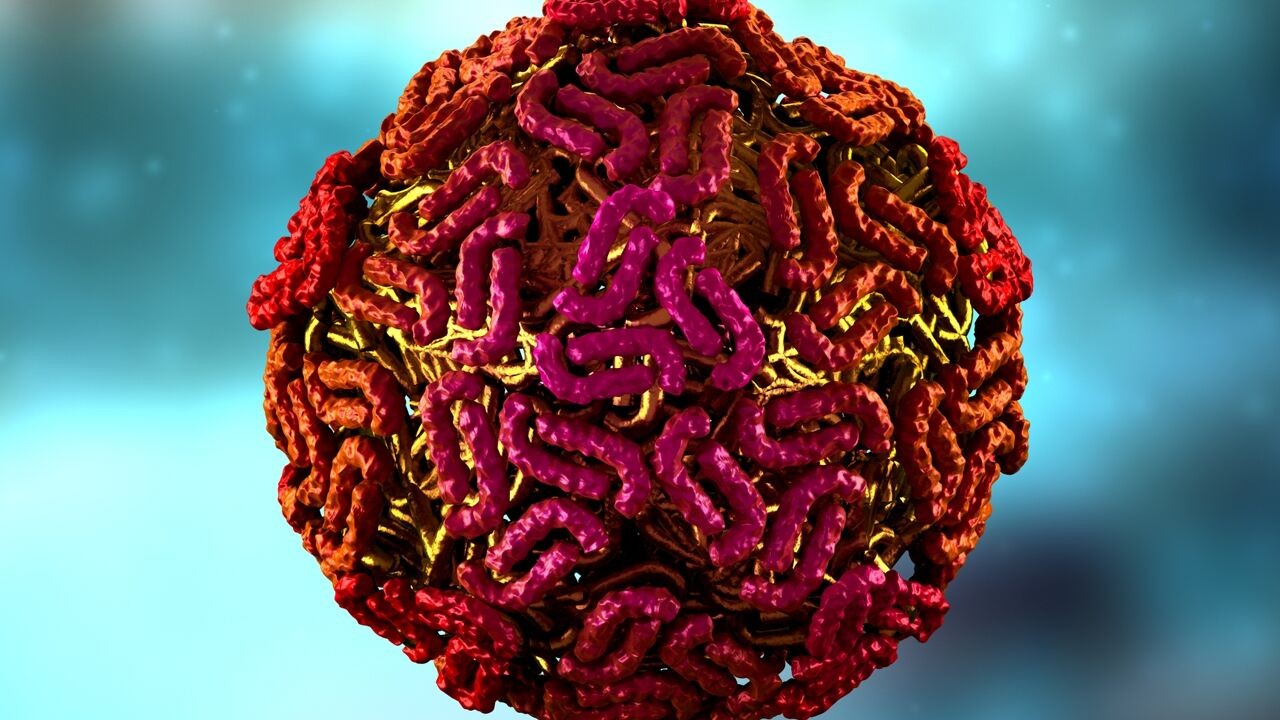 Al zeker 5 doden bij epidemie van westnijlvirus in Noord-Macedonië