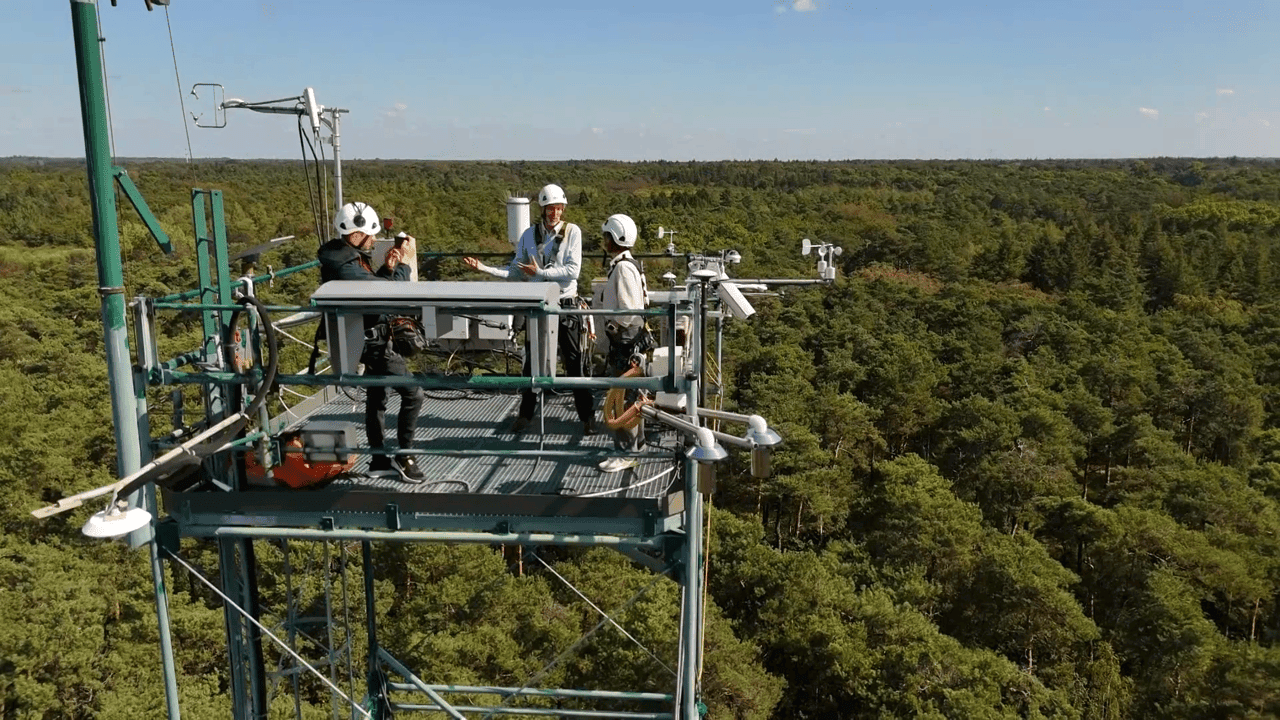 Metingen 40 meter boven de grond tonen aan: door droge zomer namen bomen in Brasschaat veel minder CO2 op