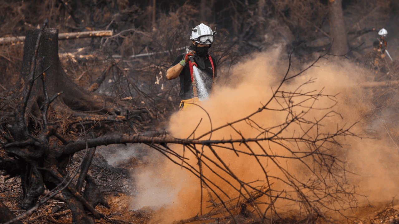 Limburgse brandweer stuurt opnieuw ploegen naar Hoge Venen voor heropflakkeringen
