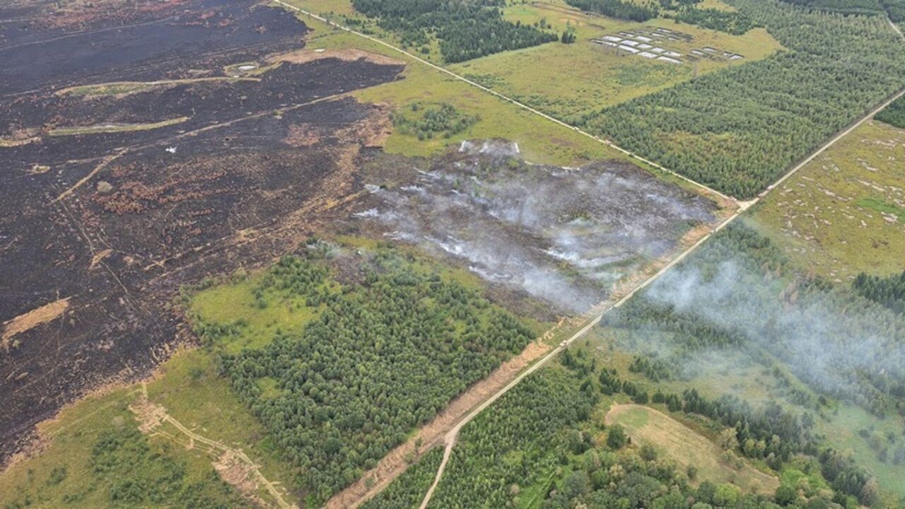 Brandweer krijgt versterking vanuit Duitsland, nieuwe beelden tonen dat gevaar in de Hoge Venen nog niet is geweken
