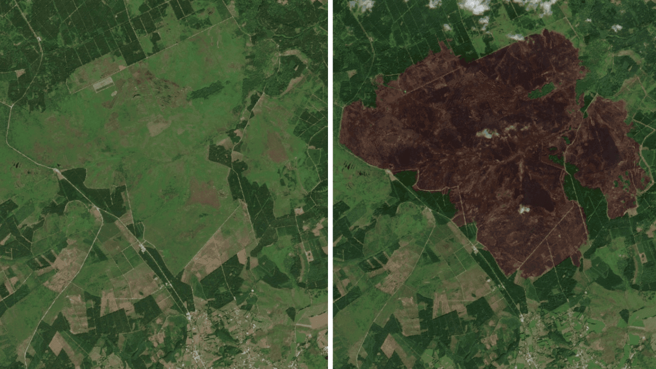 Van groen natuurgebied tot zwartgeblakerde vlakte: satellietbeelden tonen impact van brand in Hoge Venen
