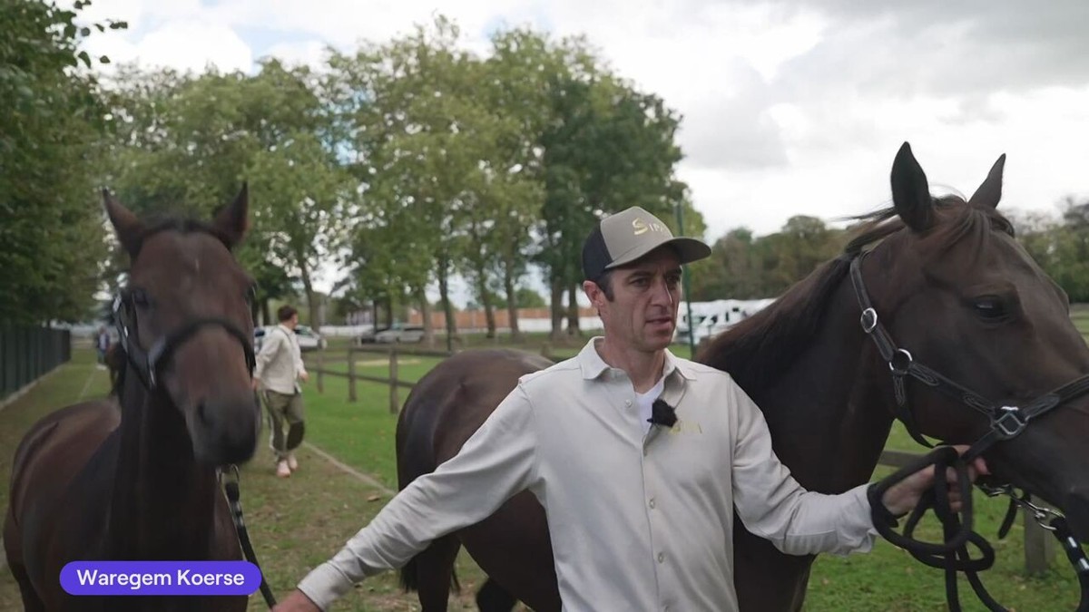 VIDEO - Jockey Soumillon eens in actie in eigen land: "Heb ik het meest over gedroomd"