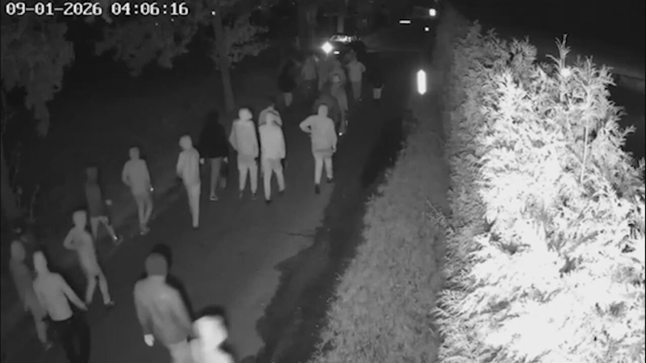 Van drugsgeweld in ons land tot ontvoering: verdachten van strafexpeditie in Overasselt hadden al crimineel verleden
