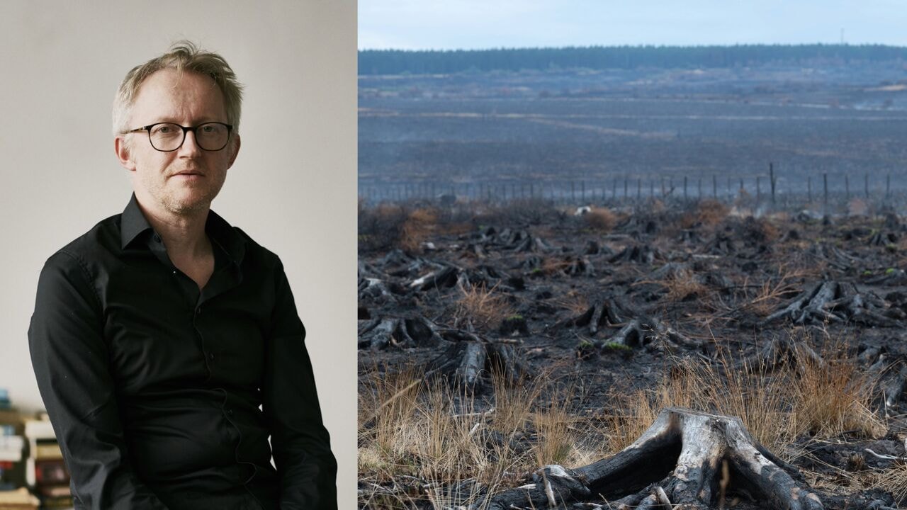 "Er brandt ook iets in jezelf af": na de brand in de Hoge Venen groeit aandacht voor 'landschapspijn'