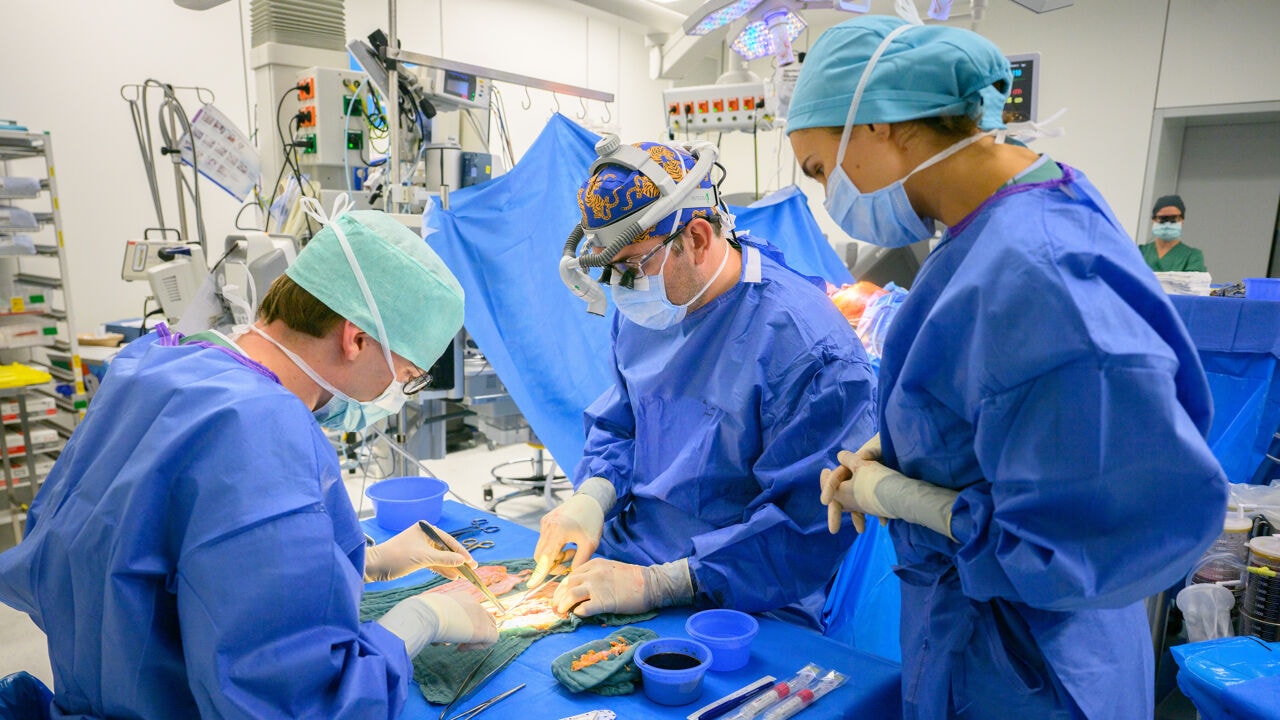 Wereldprimeur in UZ Leuven: ernstige schade aan buik en borstkas hersteld zonder levenslange afstotingsmedicatie