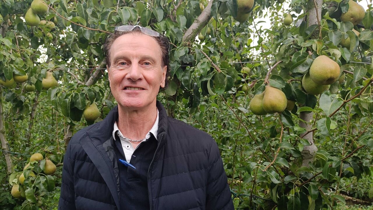 Fruittelers sturen seizoensarbeiders naar huis na knokpartij in hotel in Borgloon, burgemeester wil strengere registratie