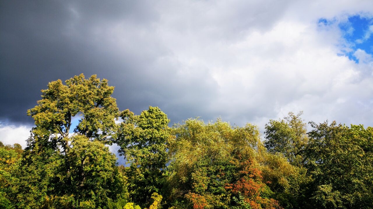 Vandaag nog droog en warm met temperaturen tot 29 graden, vanaf morgen koeler en nat