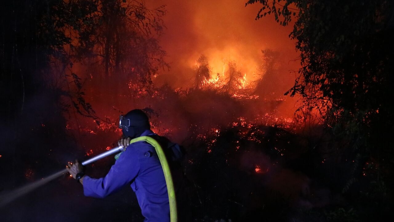 Indonesische monsterbranden razen door tropisch veengebied: record van rampjaar 2015 komt in zicht