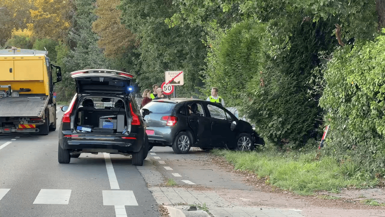 Bestuurder (17) rijdt in op toeschouwers tijdens auto-event in Avelgem: jong meisje zwaargewond, ook 5 lichtgewonden