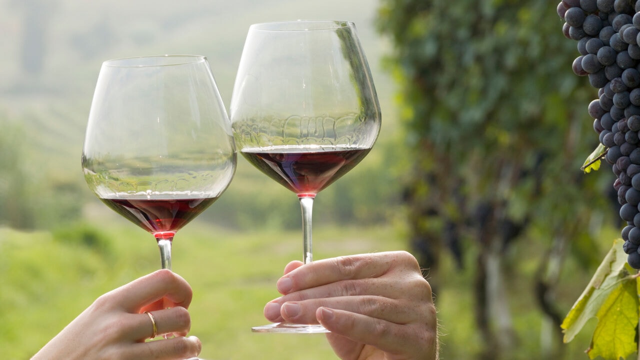 Dieven gaan aan de haal met 3.000 flessen Barolo bij Italiaans wijnhuis, buit is honderdduizenden euro's waard