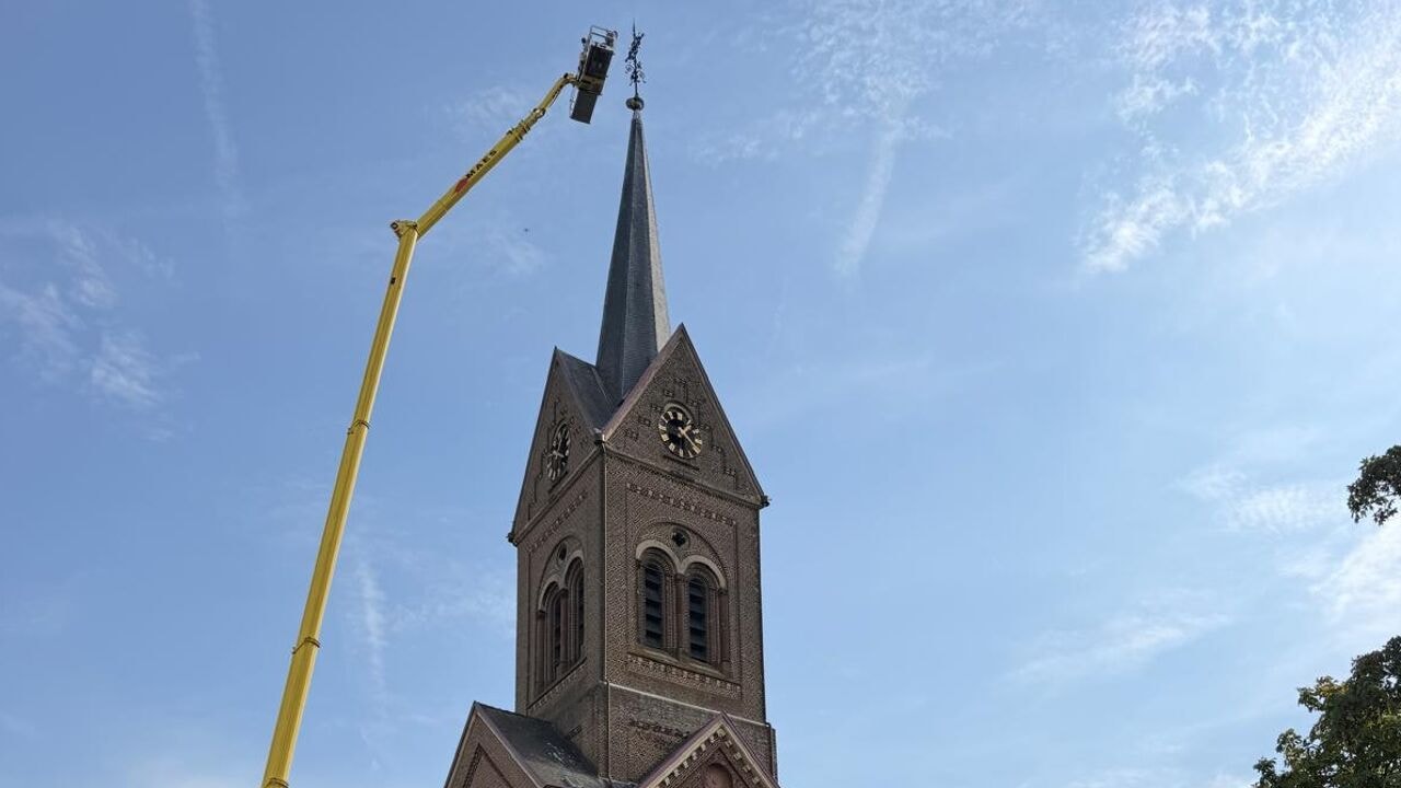 Hoogtewerker ingezet om hoornaarsnest te verwijderen op 55 meter hoge kerktoren in Lummen