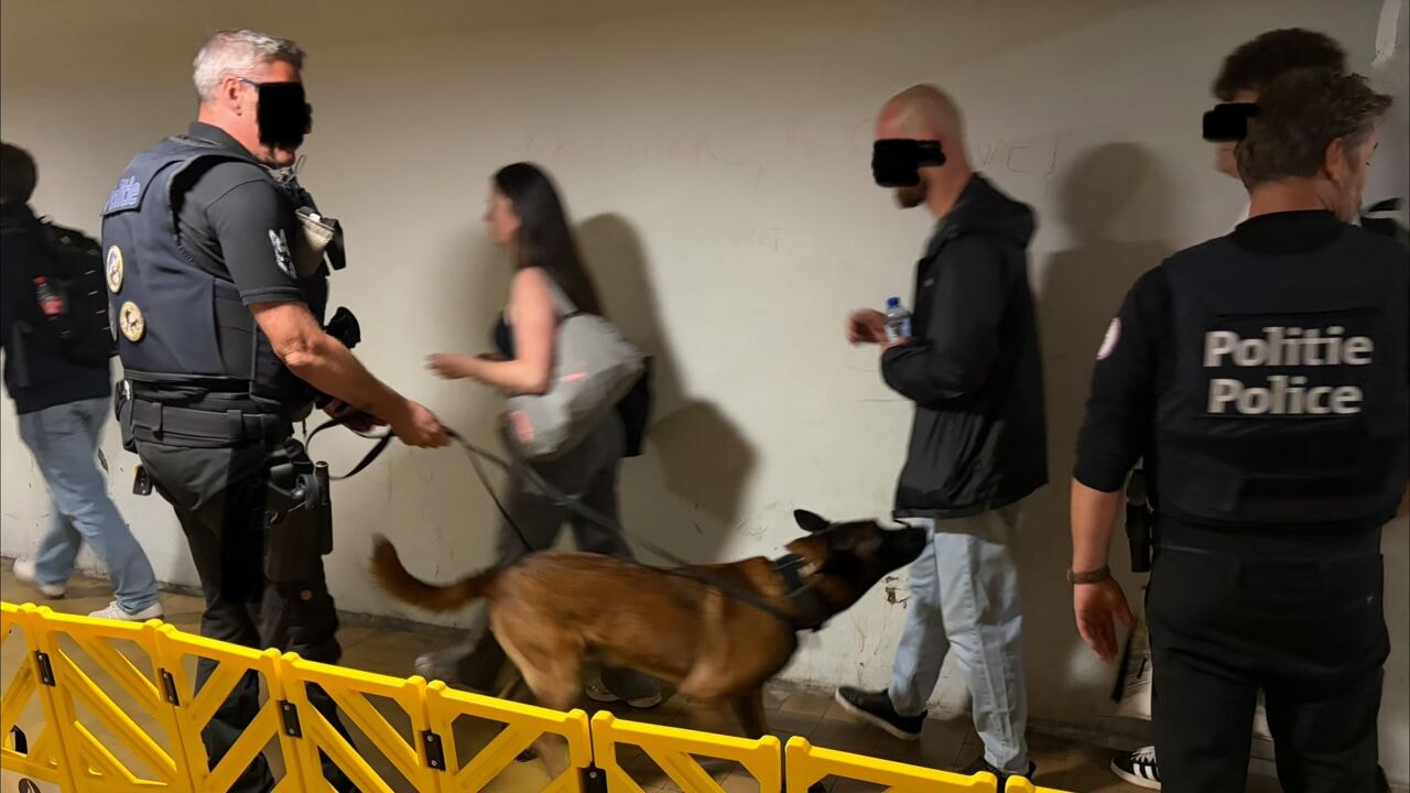 Drughond betrapt 23 treinreizigers op drugs tijdens grote politieactie in station van Kortrijk