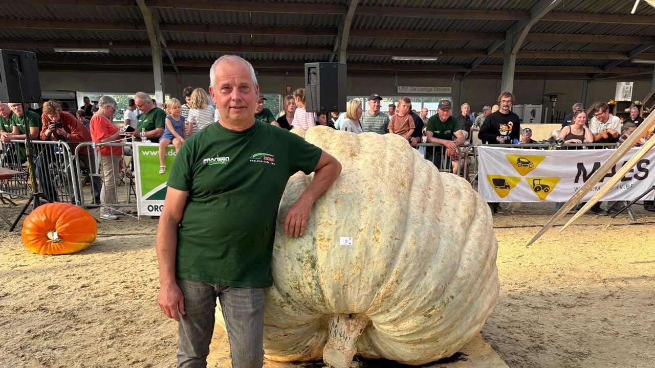 Herman opnieuw Belgisch kampioen met pompoen van 945,5 kilogram: "Ik ga het vieren met pompoenbier"