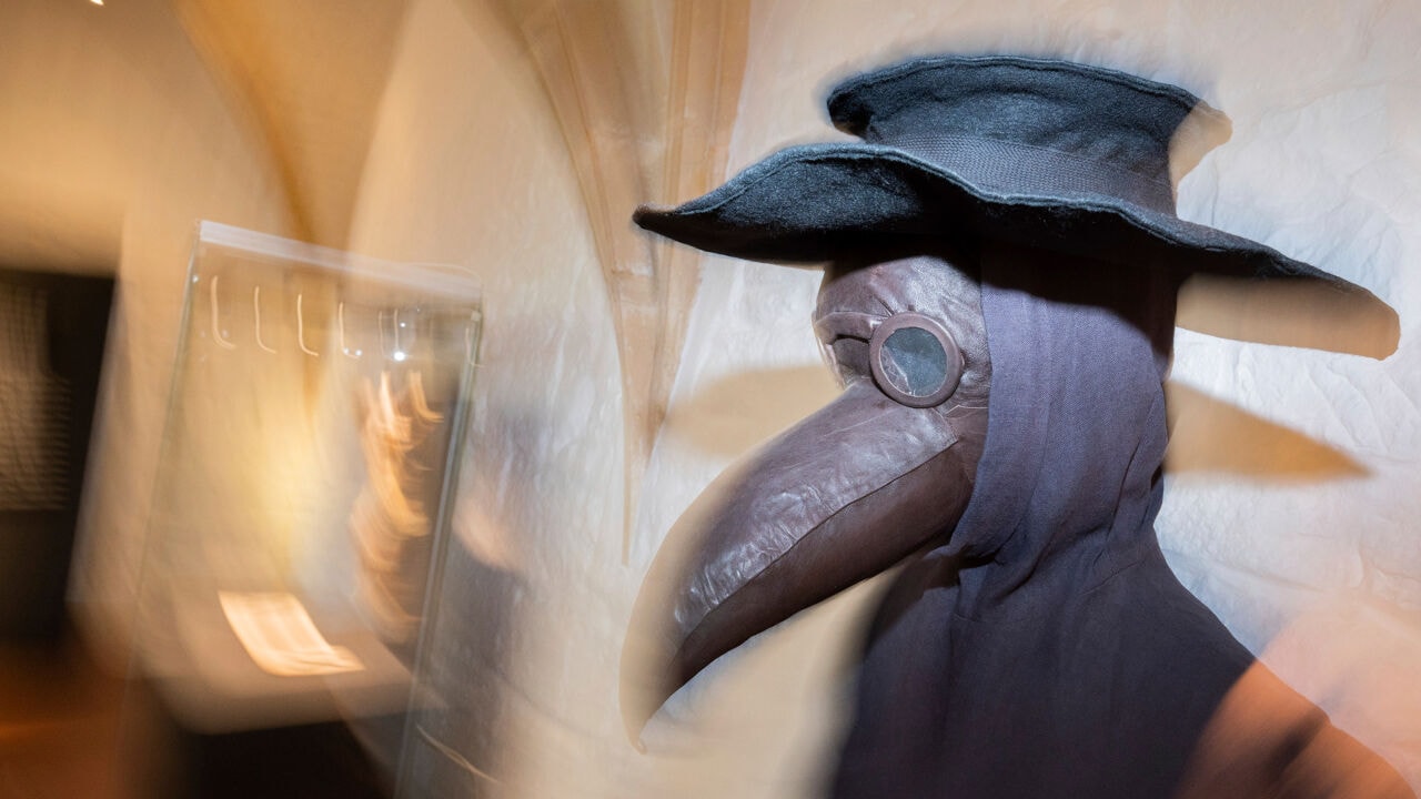 Honderden miljoenen doden in de middeleeuwen, vandaag nog zo'n 1.000 infecties per jaar: dit moet je weten over de pest