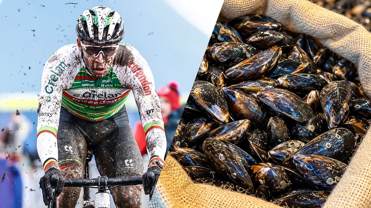 LIVESTREAM (15.00 uur): Welke veldrijder wint 100 kilogram mosselen in de Mosselcross van Dendermonde?